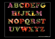 Wall_Art_Alphabet_Photography_Art_ 146